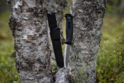 ⁦موراكنيف كومبانيون سبارك⁩ - الصورة ⁦8⁩