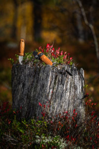 ⁦(مع طقم القادح)سكين مورا ايلدريس⁩ - الصورة ⁦9⁩